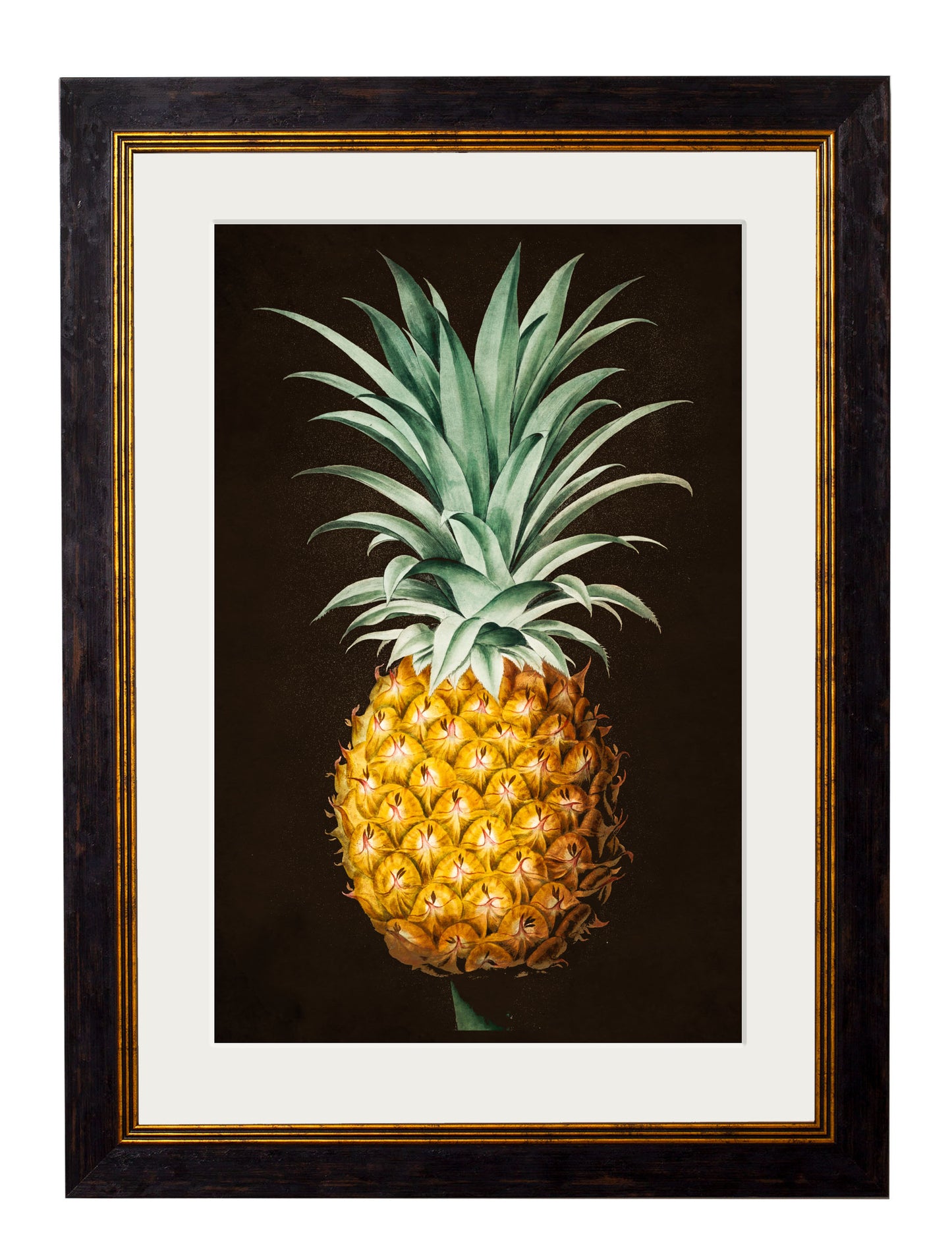 Vintage Framed Print, Pineapple