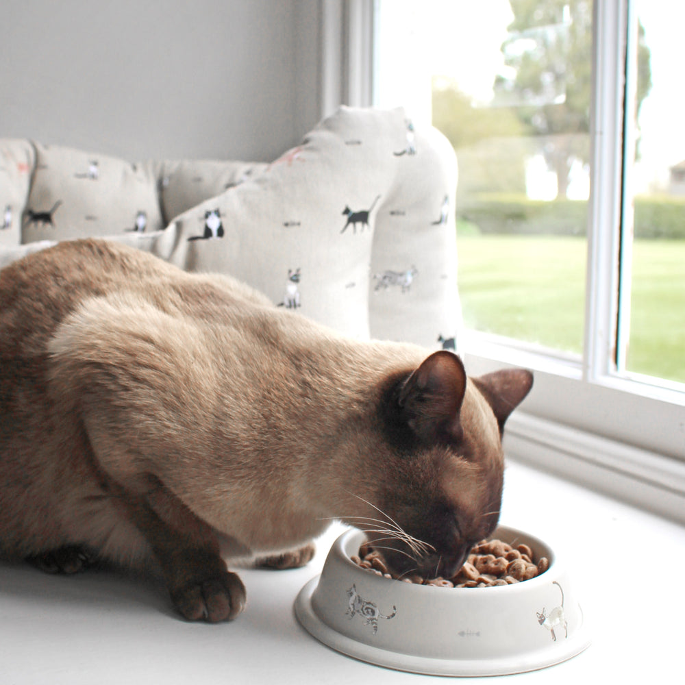 Sophie Allport Cat Bowl, Purrfect