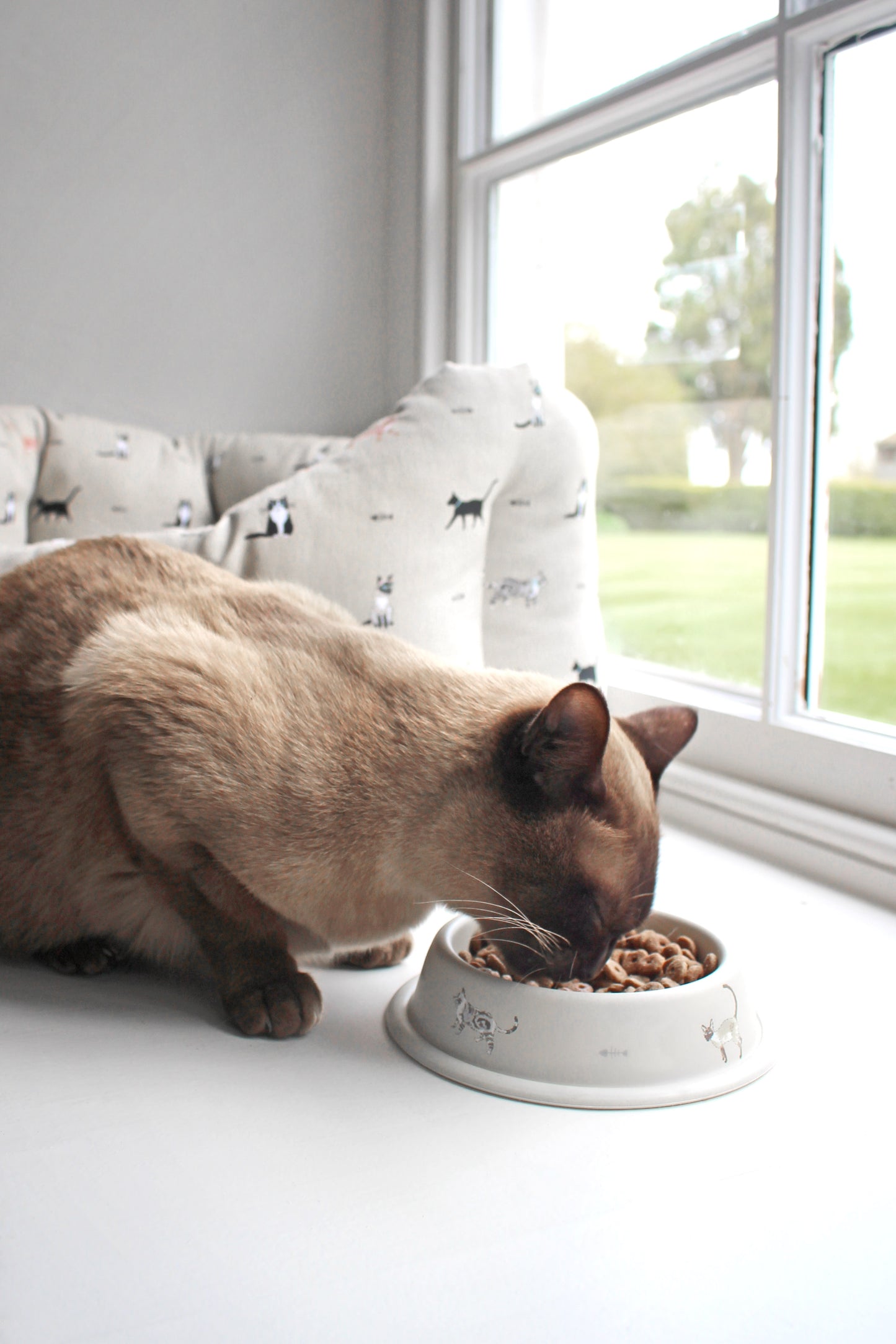 Sophie Allport Cat Bowl, Purrfect