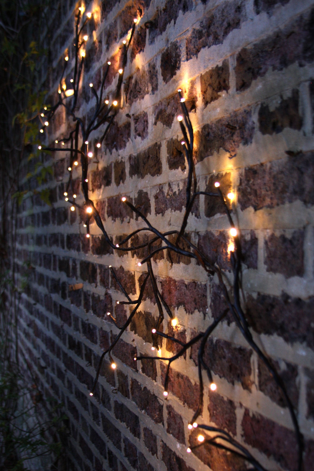 Ivy fairy on sale lights wall