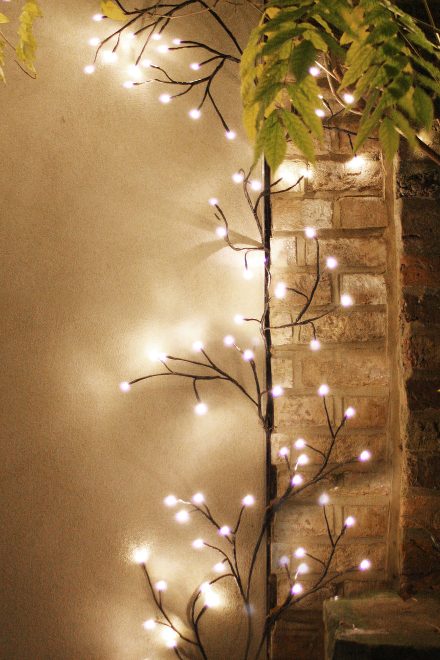 Dual Powered LED Ivy Fairy Light Black